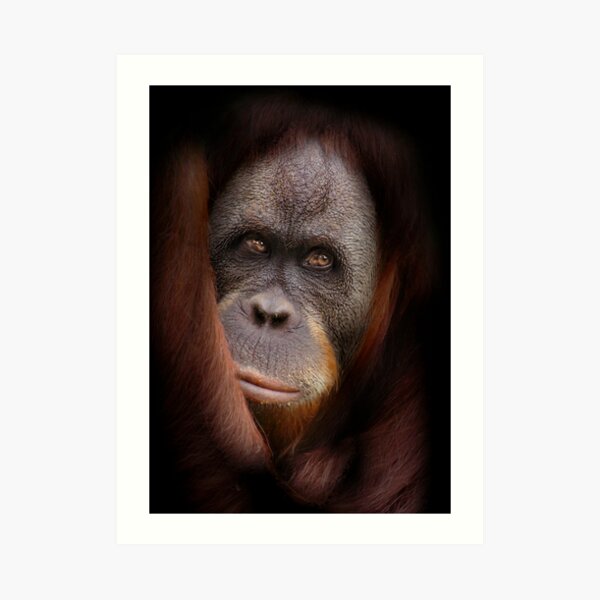 Veiled Art Print
