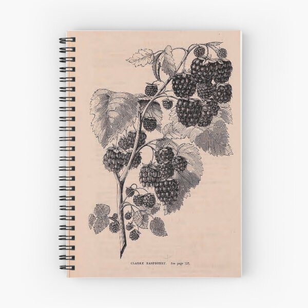Item preview, Blackberry Vintage Illustration designed and sold by dooing-doodles.