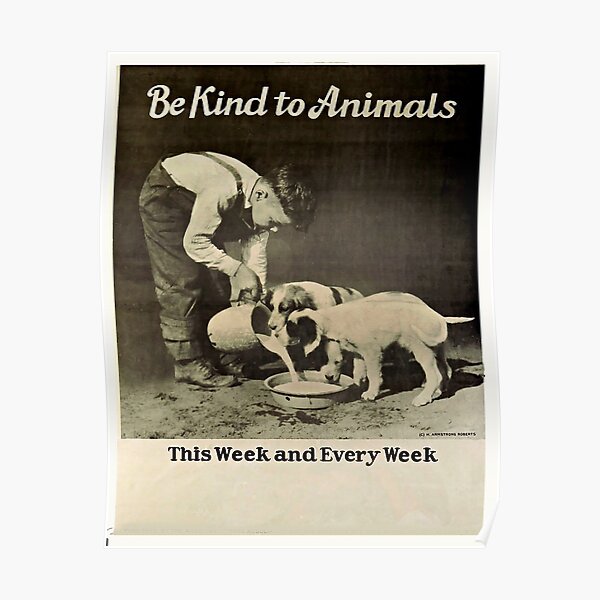 Animal Welfare Posters for Sale | Redbubble Animal Welfare Posters for Sale | Redbubble
