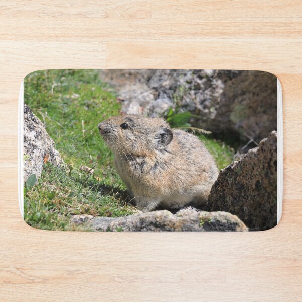 Item preview, Whistling hare III designed and sold by zumi.