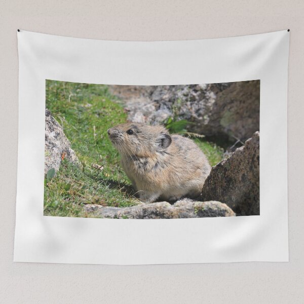 Item preview, Whistling hare III designed and sold by zumi.