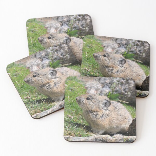 Item preview, Whistling hare III designed and sold by zumi.