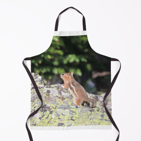 Item preview, Striped squirrel designed and sold by zumi.
