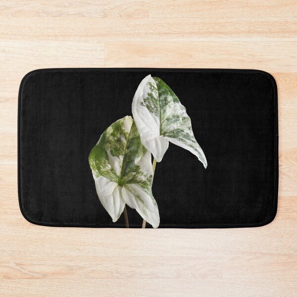 Item preview, Syngonium Variegated Albo Variegated Macro designed and sold by plantsbutbetter.