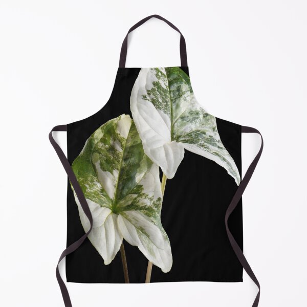 Item preview, Syngonium Variegated Albo Variegated Macro designed and sold by plantsbutbetter.