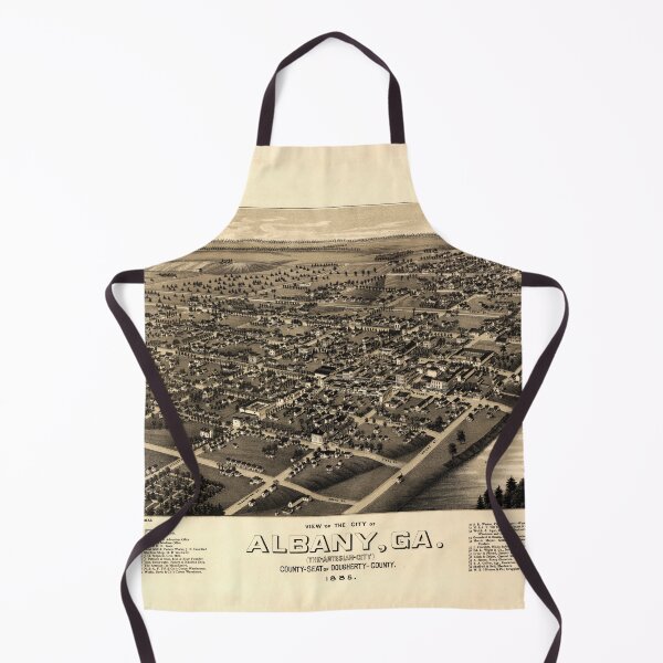Item preview, Albany, Georgia (1885) designed and sold by allhistory.