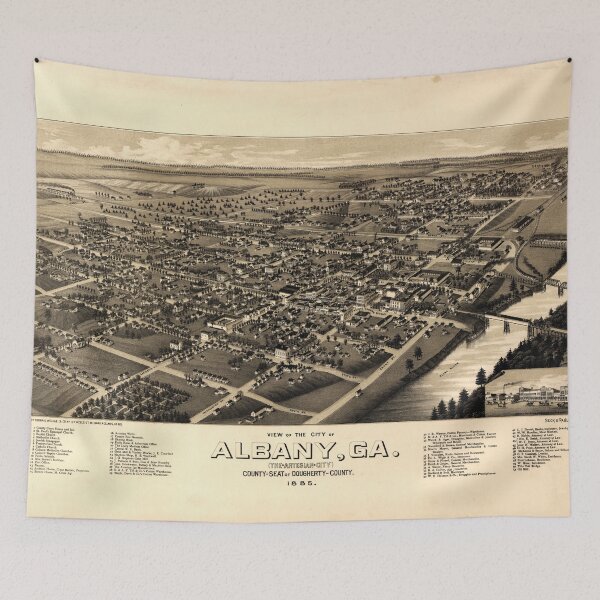 Item preview, Albany, Georgia (1885) designed and sold by allhistory.
