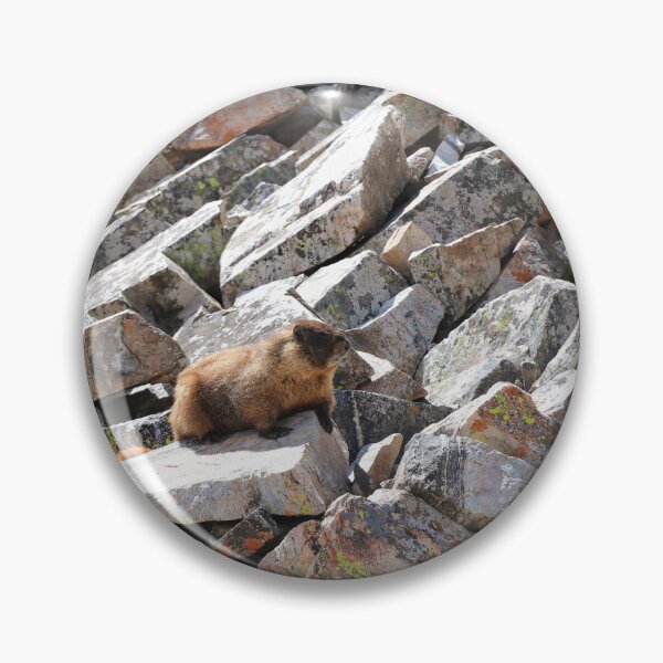 Item preview, Marmot on the rocks designed and sold by zumi.