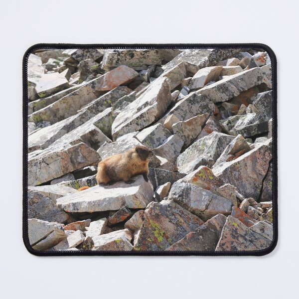 Item preview, Marmot on the rocks designed and sold by zumi.