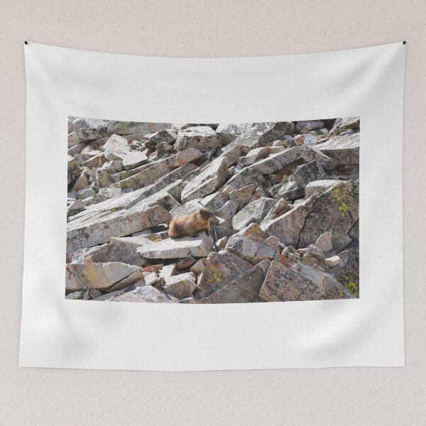 Item preview, Marmot on the rocks designed and sold by zumi.
