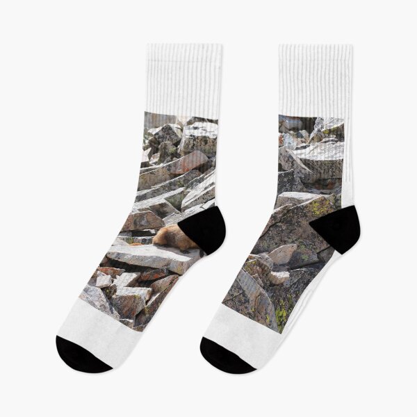 Item preview, Marmot on the rocks designed and sold by zumi.