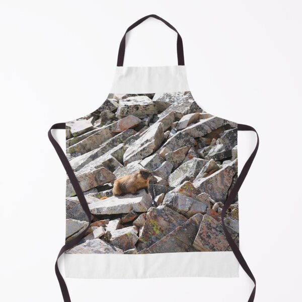 Item preview, Marmot on the rocks designed and sold by zumi.