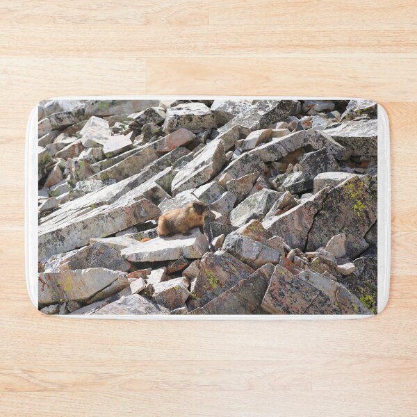 Item preview, Marmot on the rocks designed and sold by zumi.
