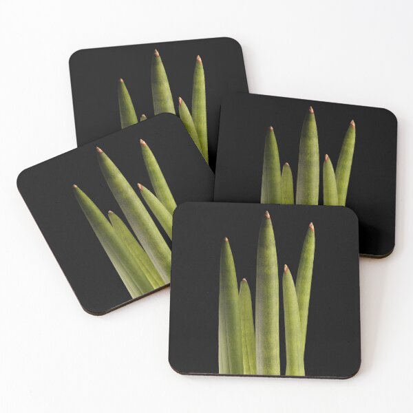 Item preview, Sansevieria Snakeplant Cylindrica Macro designed and sold by plantsbutbetter.