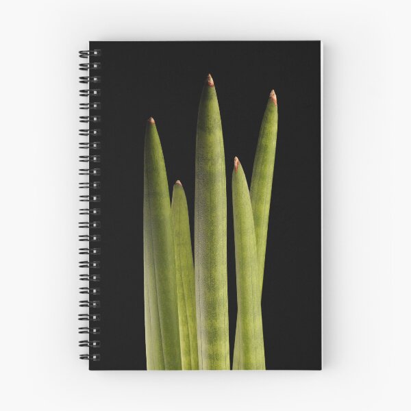 Item preview, Sansevieria Snakeplant Cylindrica Macro designed and sold by plantsbutbetter.