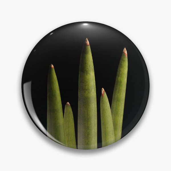 Item preview, Sansevieria Snakeplant Cylindrica Macro designed and sold by plantsbutbetter.