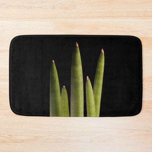 Item preview, Sansevieria Snakeplant Cylindrica Macro designed and sold by plantsbutbetter.