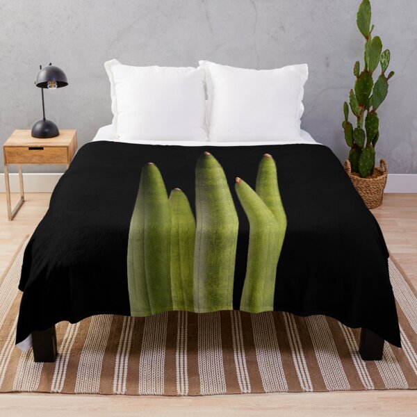 Item preview, Sansevieria Snakeplant Cylindrica Macro designed and sold by plantsbutbetter.