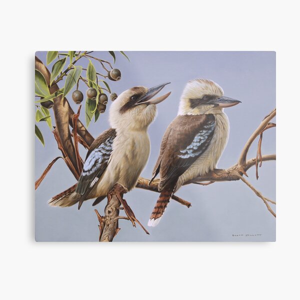 Item preview, Kookaburras designed and sold by Brett Jarrett.