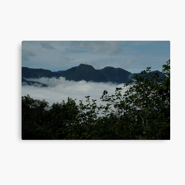 ~Mt Roberts, Juneau, Alaska~ Canvas Print