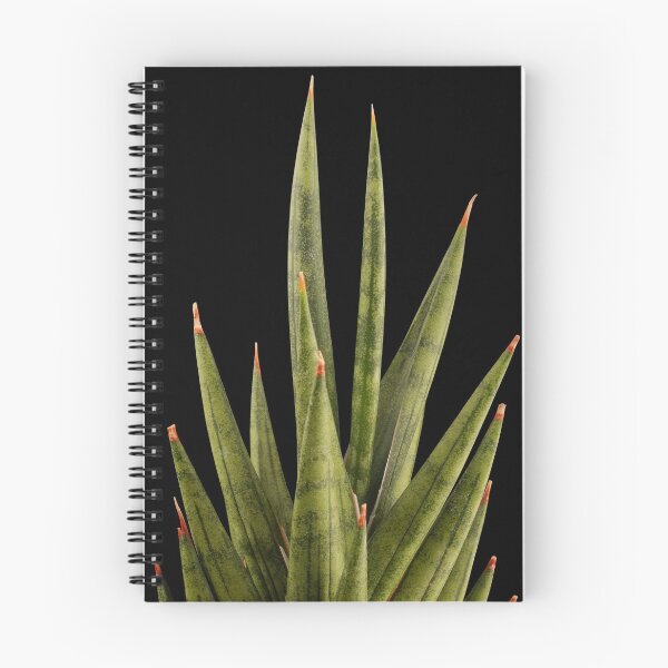Item preview, Sansevieria Snakeplant Francisii designed and sold by plantsbutbetter.