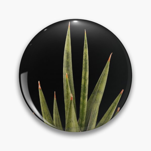 Item preview, Sansevieria Snakeplant Francisii designed and sold by plantsbutbetter.