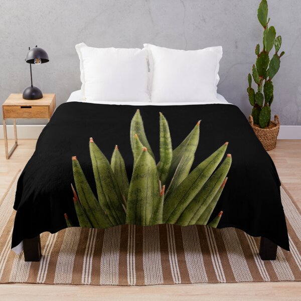 Item preview, Sansevieria Snakeplant Francisii designed and sold by plantsbutbetter.