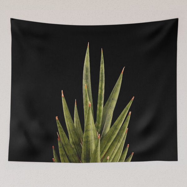 Item preview, Sansevieria Snakeplant Francisii designed and sold by plantsbutbetter.