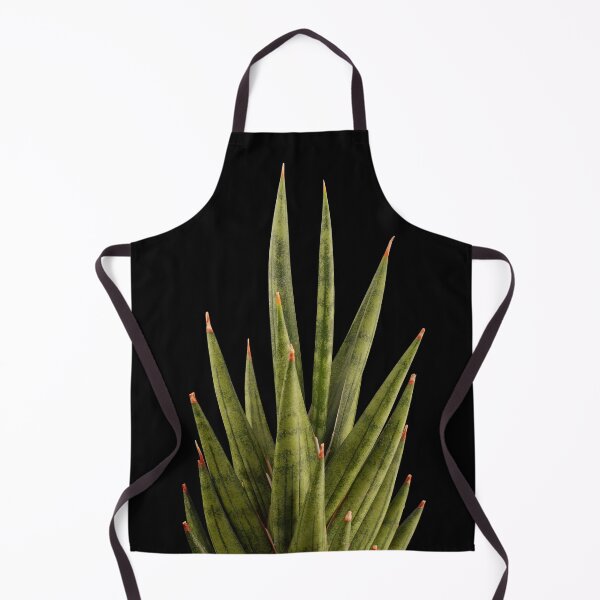 Item preview, Sansevieria Snakeplant Francisii designed and sold by plantsbutbetter.