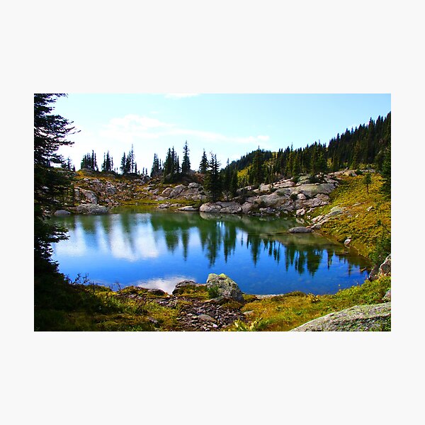 Item preview, Calm pool of water amid the forest designed and sold by vernonite.