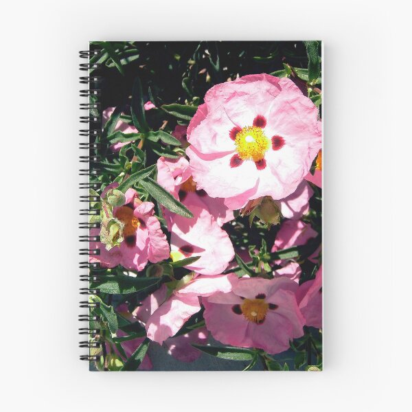 Item preview, Rose of Sharon shrub designed and sold by Shulie1.