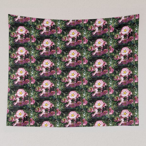 Item preview, Rose of Sharon shrub designed and sold by Shulie1.