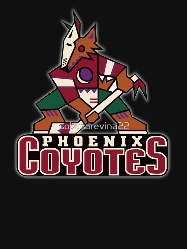 Vintage Arizona Coyotes Black Kachina Logo Hoodie Sweatshirt 