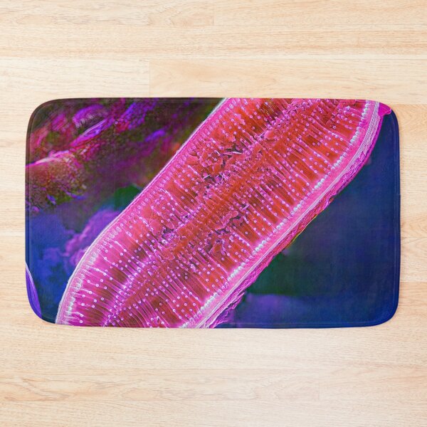 Item preview, Surirella in SEM (Pink) designed and sold by DiatomsATTACK.