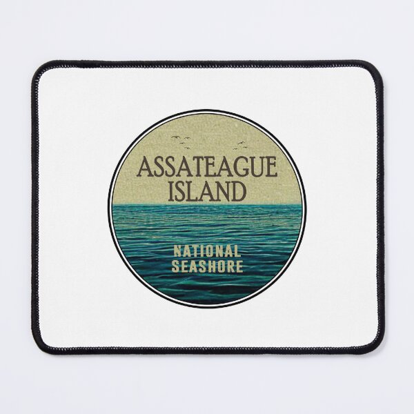 Item preview, Assateague Island National Seashore Ocean Birds designed and sold by Esskay Designs.