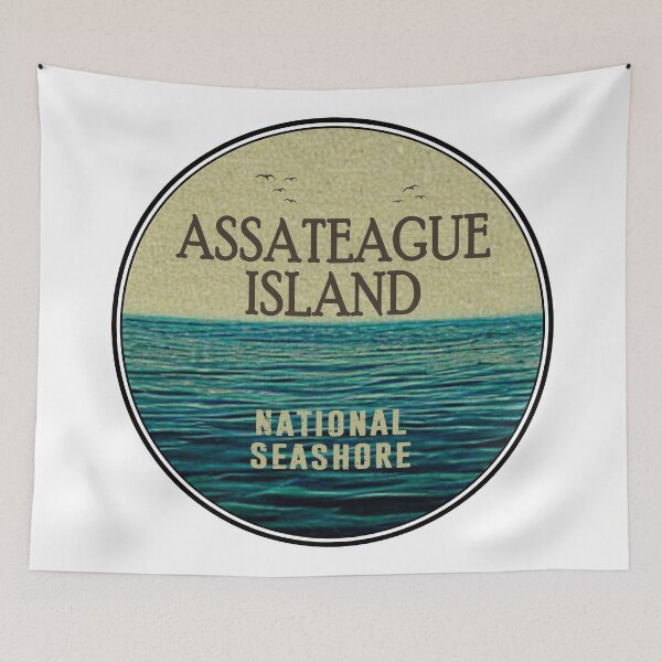 Item preview, Assateague Island National Seashore Ocean Birds designed and sold by Esskay Designs.