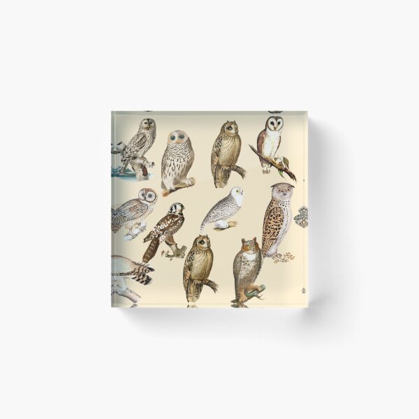 Item preview, Beautiful Owls designed and sold by ManifestoDesign.