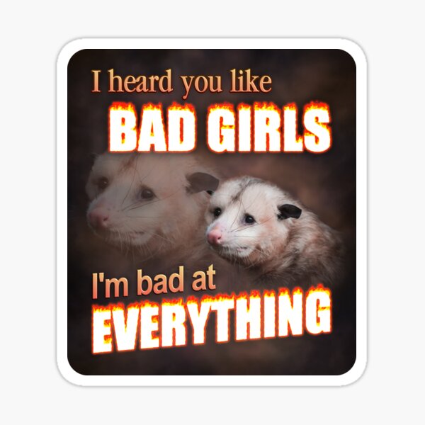 Aperçu de l'œuvre Je t'entends comme des mauvaises filles - je suis mauvais dans tout ce qui est possum word art créée et vendue par snazzyseagull.