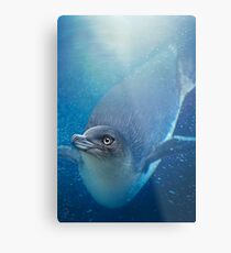 Penguin Metal Print