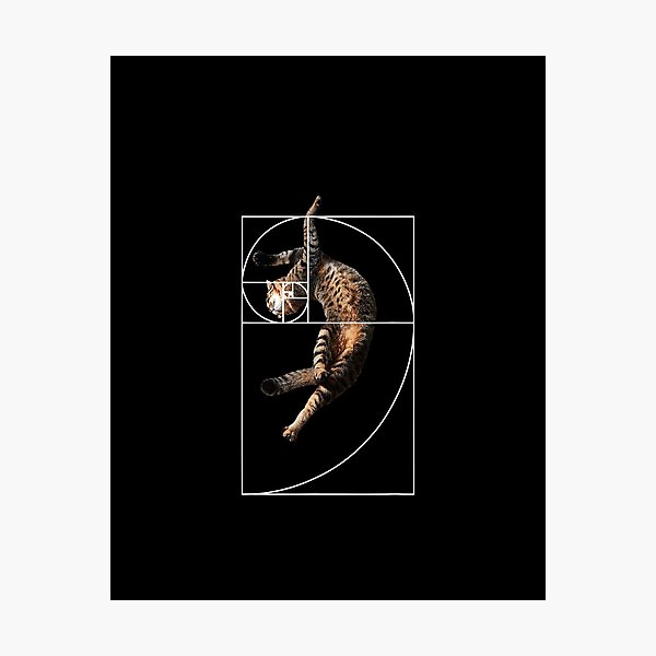 Item preview, Purrfect Cat Fibonacci Golden Ratio Cat designed and sold by lotteheinze.