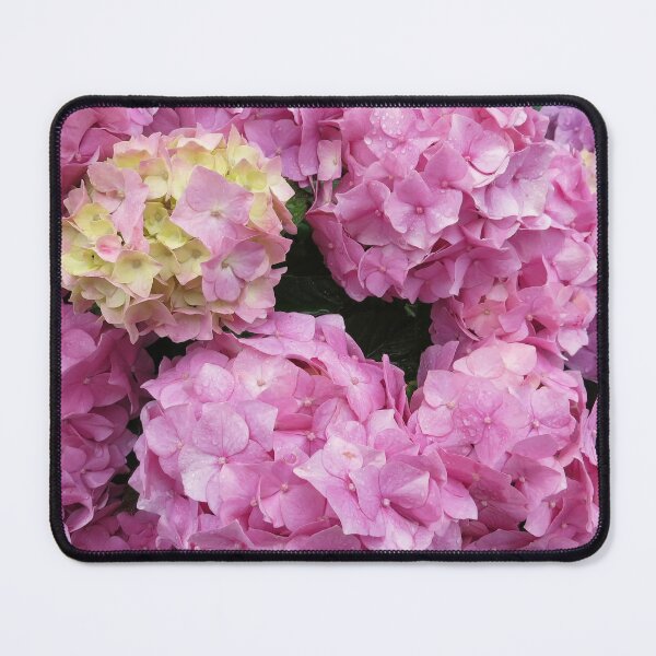 Item preview, Frame full of Hydrangea designed and sold by Violaman.