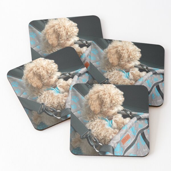 Item preview, Baby Maltipoo designed and sold by Liz Lane.