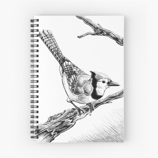 Item preview, Blue Jay designed and sold by Stephen Hartman.