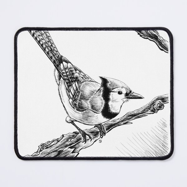 Item preview, Blue Jay designed and sold by Stephen Hartman.