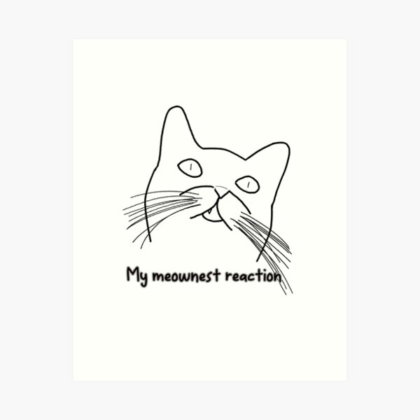 Cat Reaction Canvas Prints for Sale