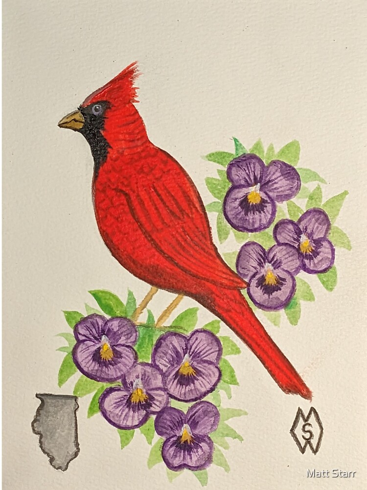 Indiana State Bird Art Print Indiana Cardinal and Peony 