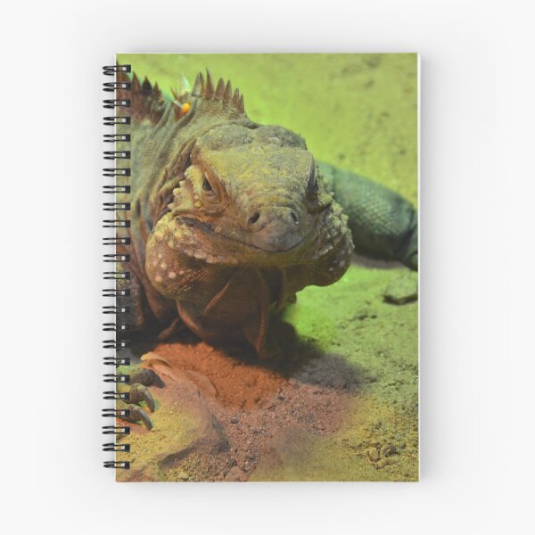 Item preview, The Lizard designed and sold by Mark Bowden.