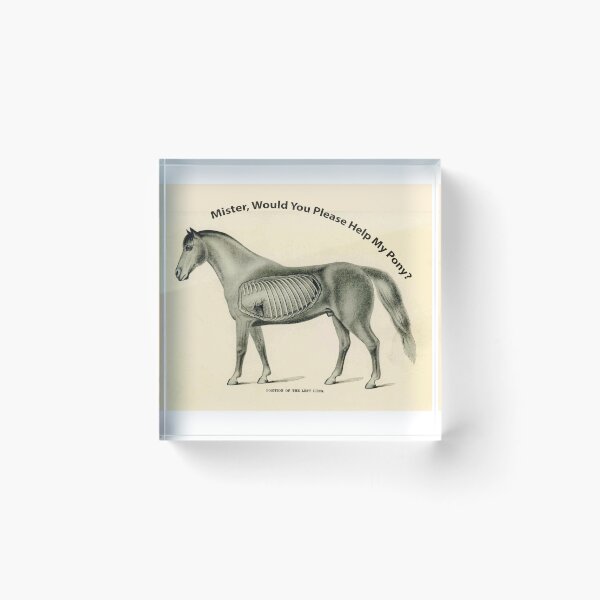 Item preview, Mister, Would You Please Help My Pony? WEEN Boognish designed and sold by William Wright.