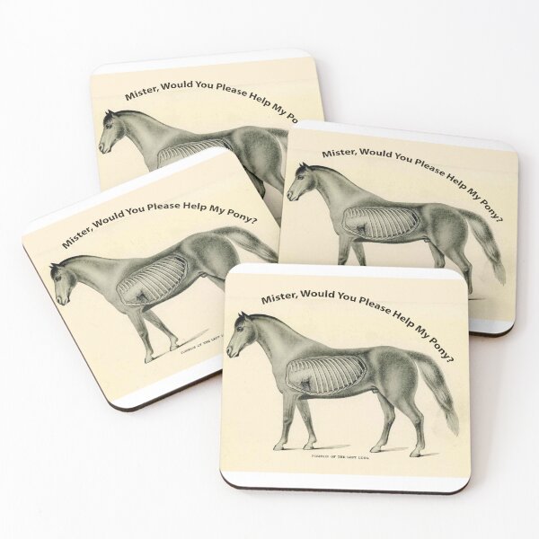Item preview, Mister, Would You Please Help My Pony? WEEN Boognish designed and sold by William Wright.