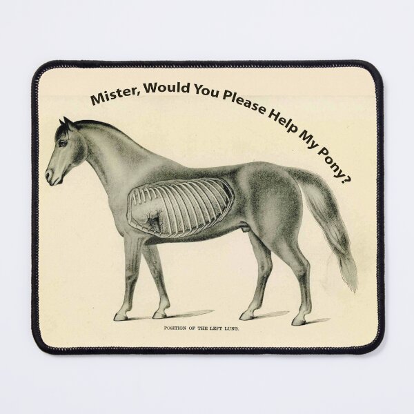 Item preview, Mister, Would You Please Help My Pony? WEEN Boognish designed and sold by William Wright.